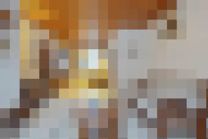 Dr. Poelsstraat 7 Posterholt thumbnail 7