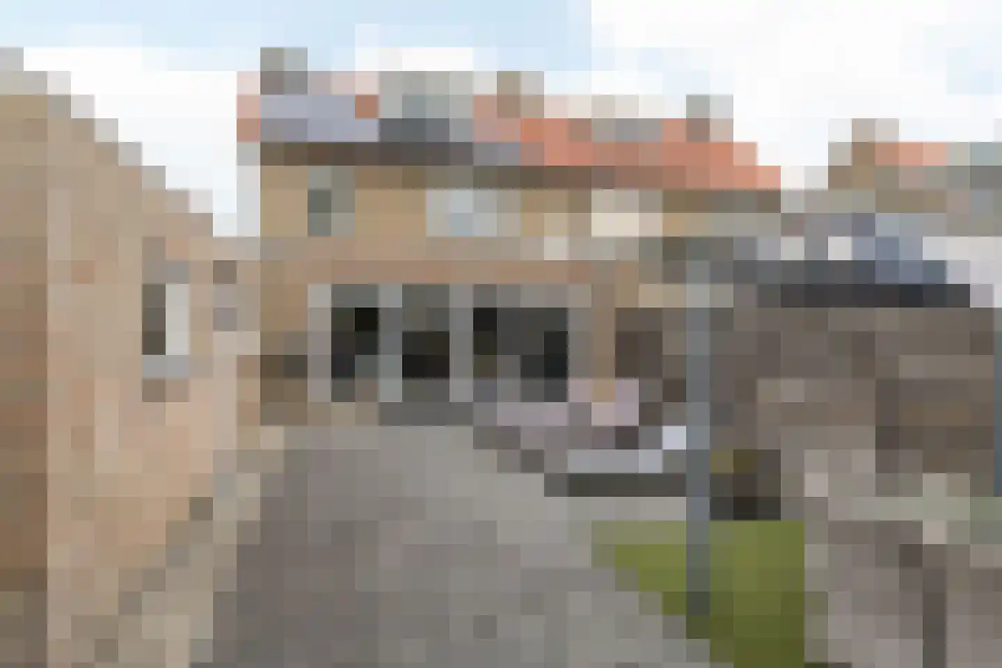 Dr. Poelsstraat 7 Schinnen thumbnail 37