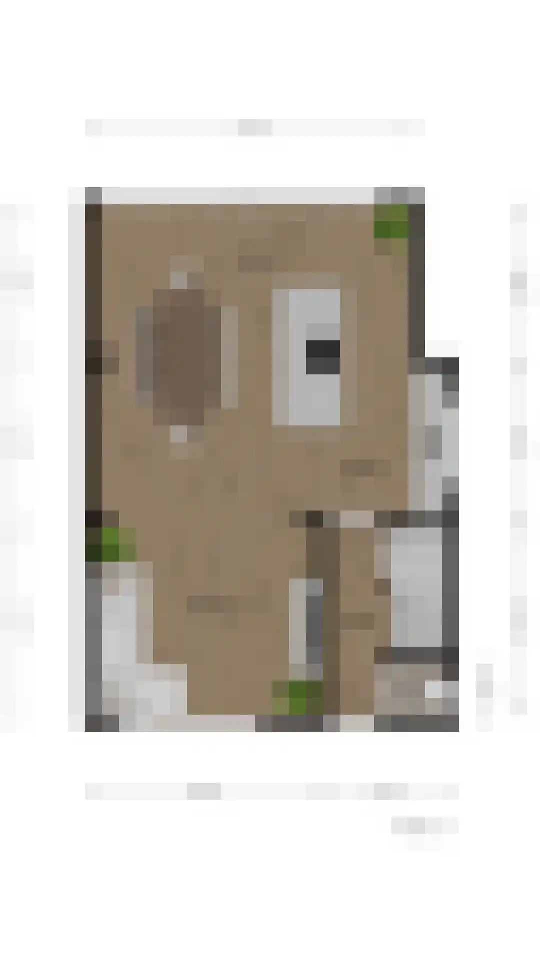 Dr. Poelsstraat 7 Schinnen thumbnail 43