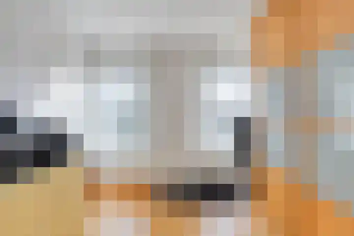 Dr.Poelsstraat 8 Kerkrade thumbnail 17