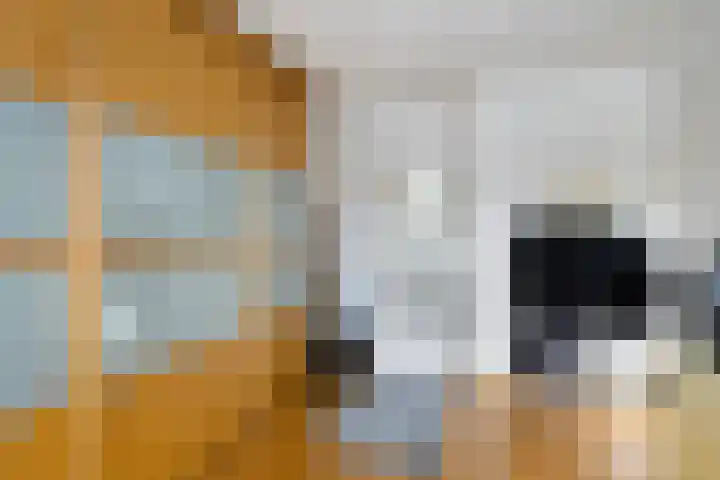 Dr.Poelsstraat 8 Kerkrade thumbnail 18