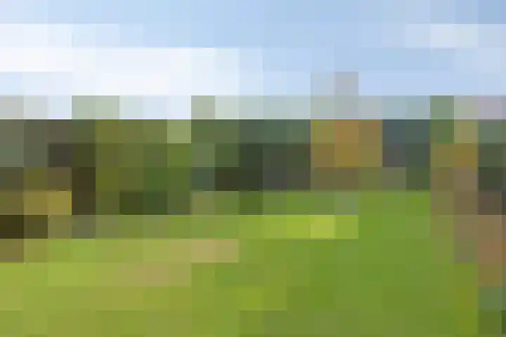 Dr.Poelsstraat 8 Kerkrade thumbnail 30