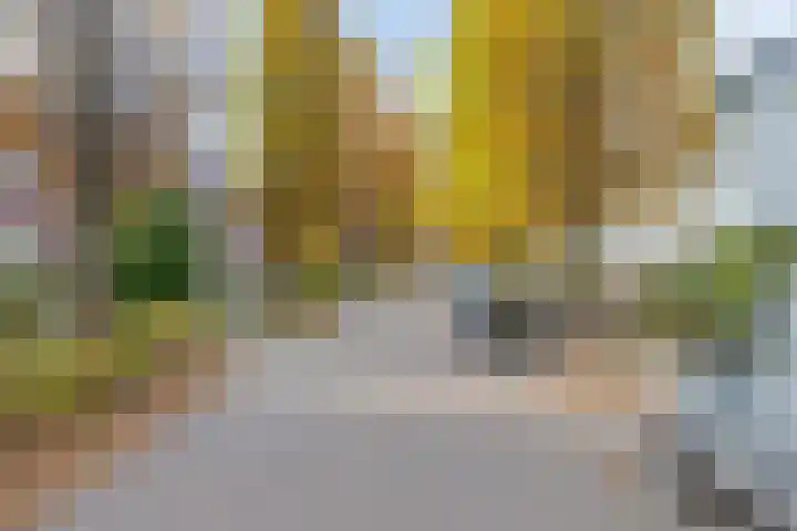 Dr.Poelsstraat 8 Kerkrade thumbnail 34