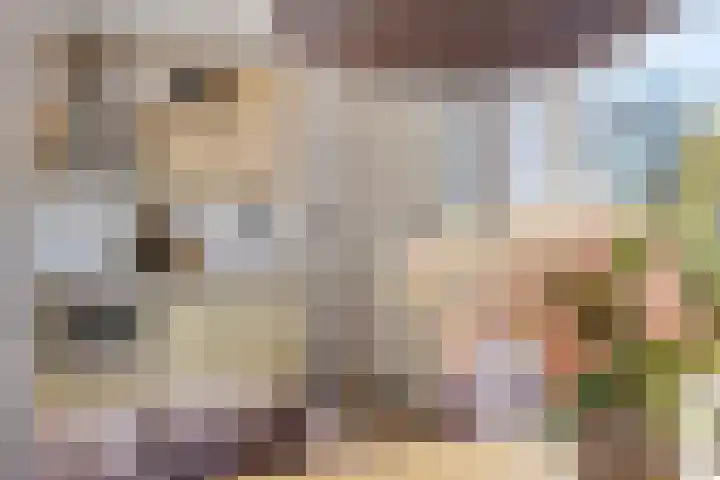 Dr. Poolmanstraat 12 Ter Apel thumbnail 15