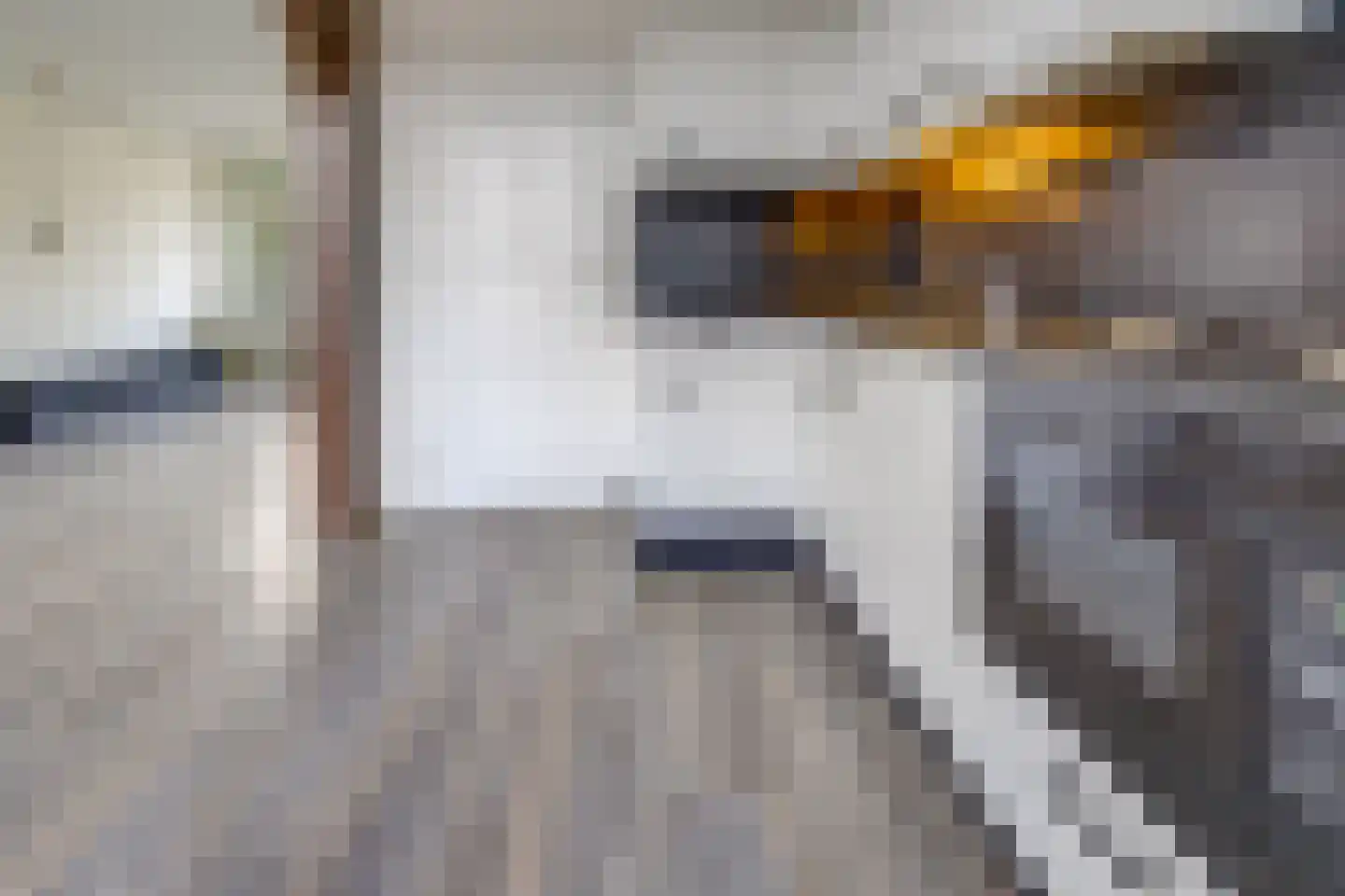 Dr. Poolmanstraat 4 Ter Apel thumbnail 16