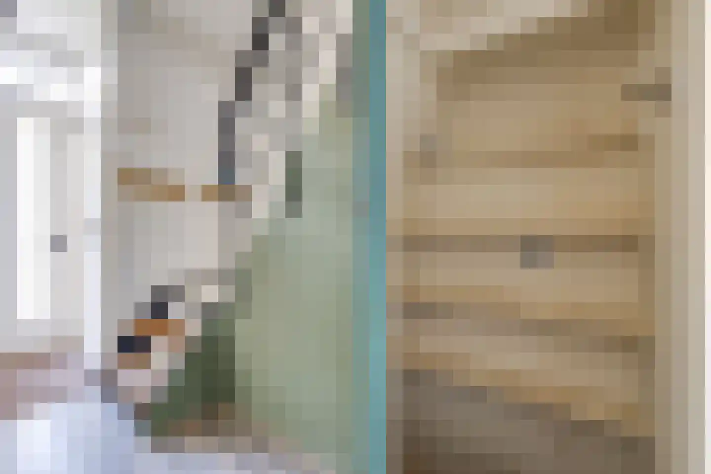Dr. Poolmanstraat 4 Ter Apel thumbnail 19