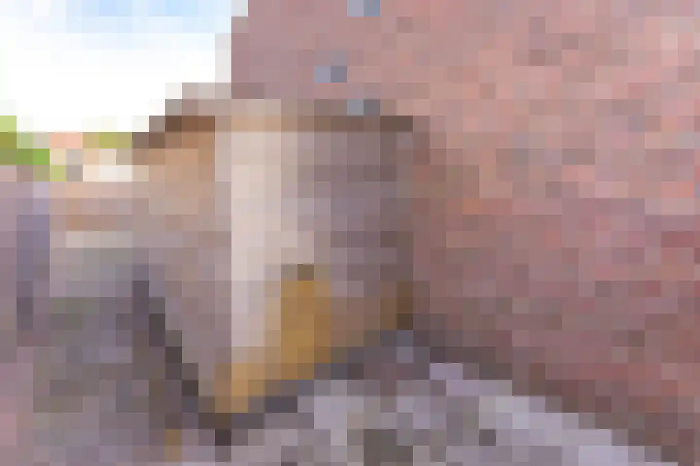 Dr. Poolmanstraat 4 Ter Apel thumbnail 43