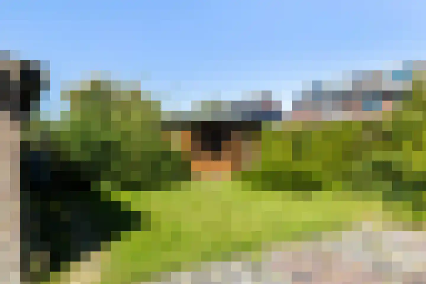 Dr Poptastrjitte 11 Marsum thumbnail 10