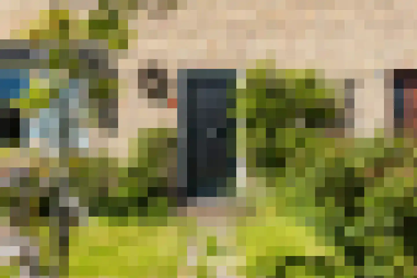 Dr Poptastrjitte 11 Marsum thumbnail 4