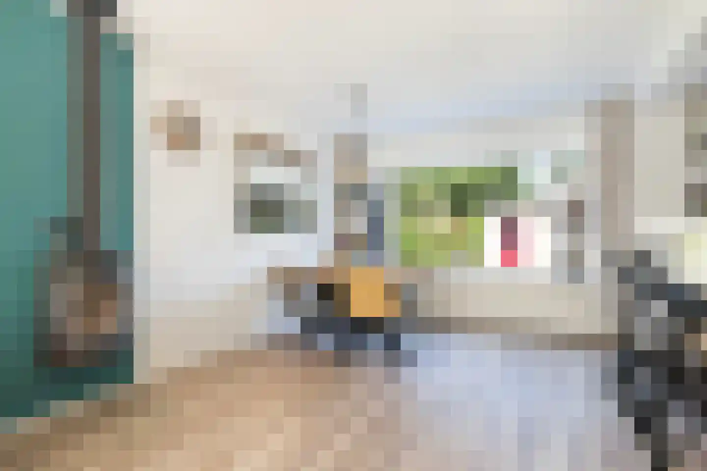 Dr.Postmastraat 25 Buitenpost thumbnail 10