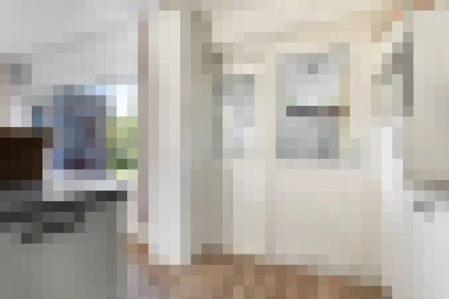 Dr.Postmastraat 25 Buitenpost thumbnail 16