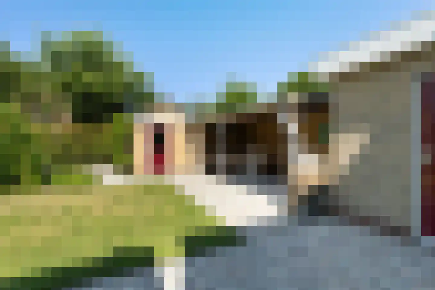 Dr.Postmastraat 25 Buitenpost thumbnail 19