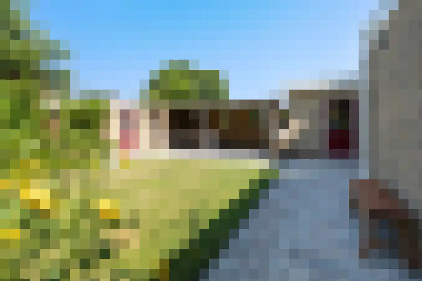 Dr.Postmastraat 25 Buitenpost thumbnail 20