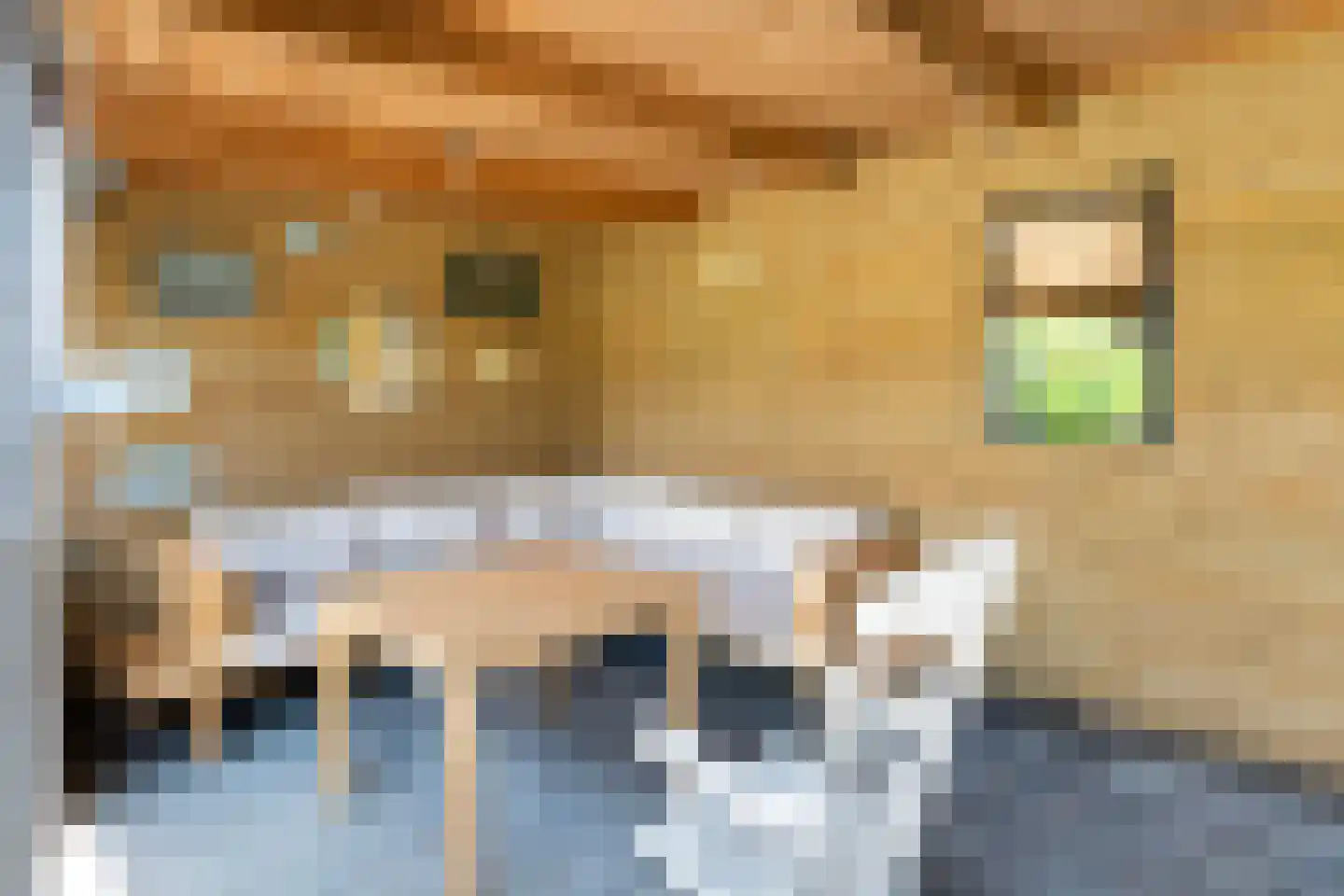 Dr.Postmastraat 25 Buitenpost thumbnail 22