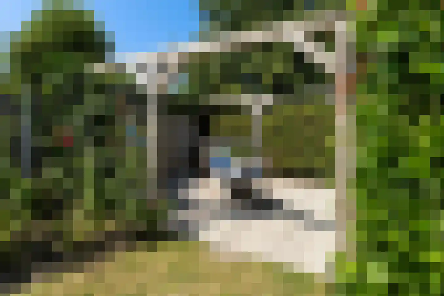 Dr.Postmastraat 25 Buitenpost thumbnail 24