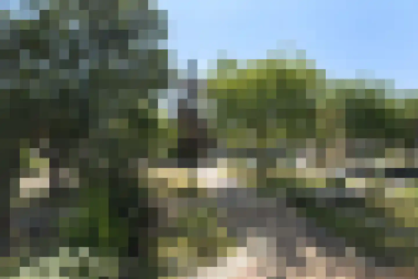 Dr.Postmastraat 25 Buitenpost thumbnail 39