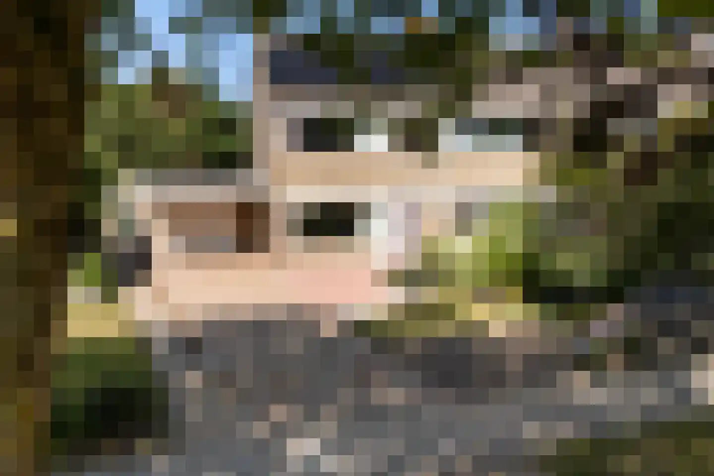 Dr.Postmastraat 25 Buitenpost thumbnail 44