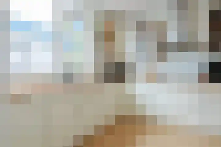 Dr Prinsengalerij 24 Heemskerk thumbnail 10