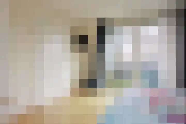 Dr Prinsengalerij 24 Heemskerk thumbnail 14