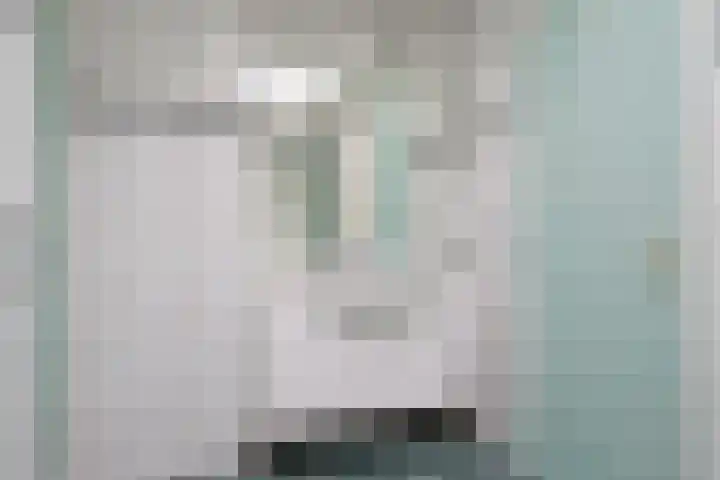 Dr Prinsengalerij 24 Heemskerk thumbnail 19