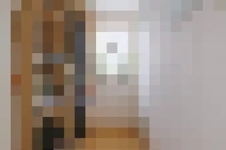 Dr Prinsengalerij 24 Heemskerk thumbnail 21