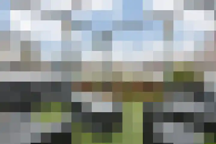 Dr Prinsengalerij 24 Heemskerk thumbnail 25