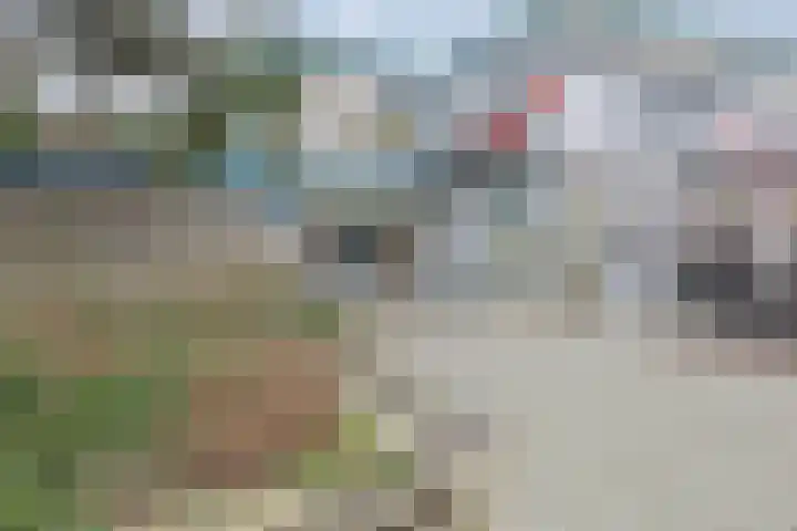 Dr Prinsengalerij 24 Heemskerk thumbnail 35