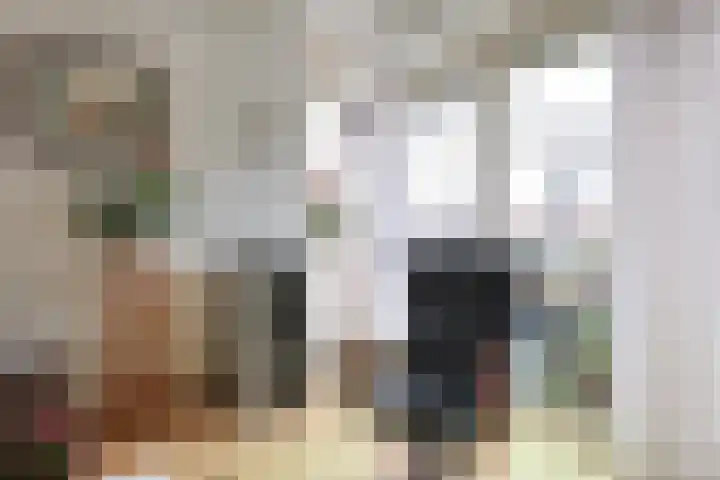 Dr Prinsengalerij 24 Heemskerk thumbnail 8