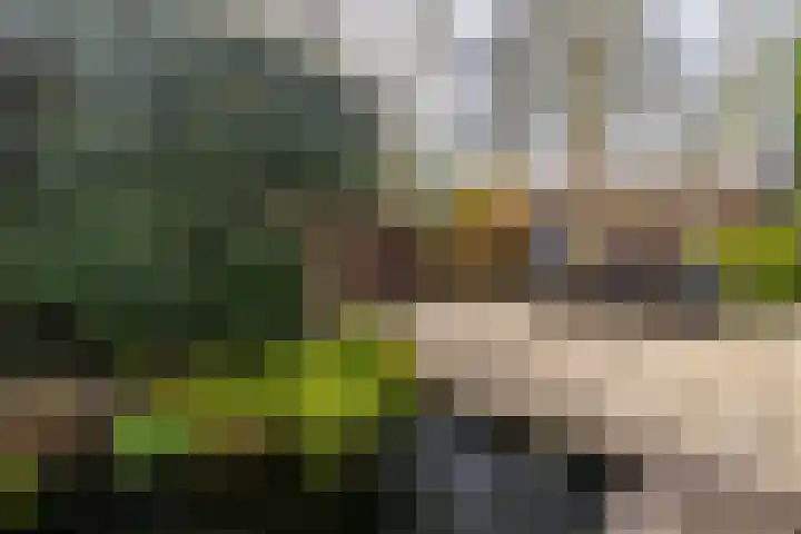 Dr. R.J. Fruinplantsoen 55 Den Haag thumbnail 21