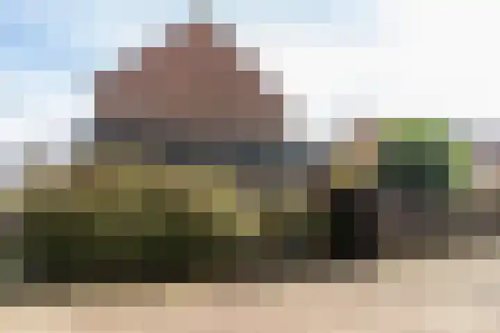 Dr. R.J. Fruinplantsoen 55 Den Haag thumbnail 40
