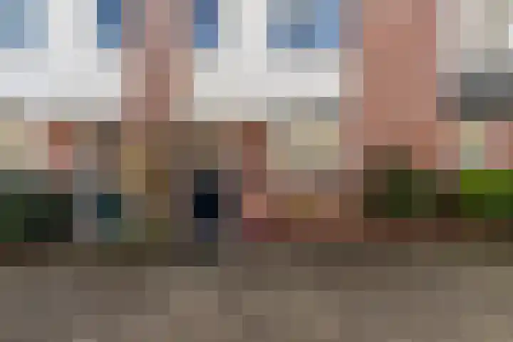 Dr. R.J. Fruinplantsoen 55 Den Haag thumbnail 6