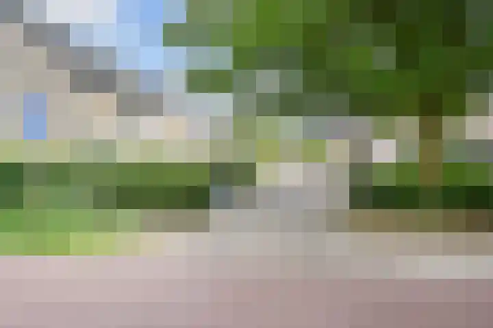 Dr. R.J. Fruinplantsoen 58 Den Haag thumbnail 45