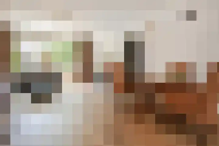 Dr. R.J. Fruinstraat 34 Den Haag thumbnail 14