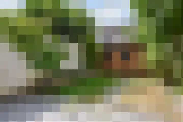 Dr. R.J. Fruinstraat 34 Den Haag thumbnail 15