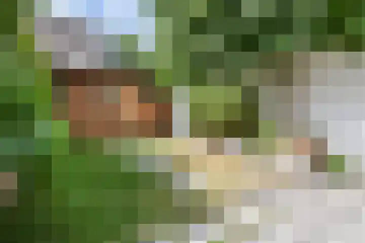 Dr. R.J. Fruinstraat 34 Den Haag thumbnail 16