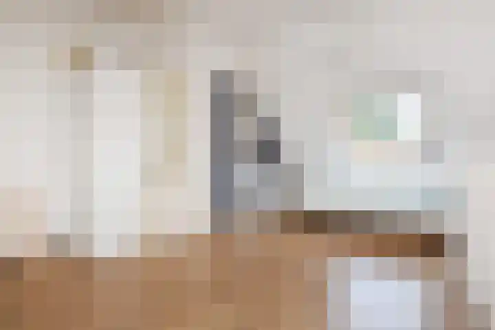 Dr. R.J. Fruinstraat 34 Den Haag thumbnail 33