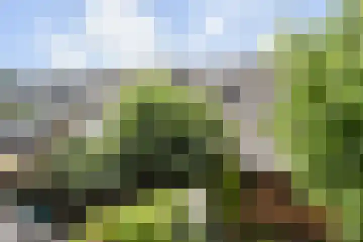 Dr. R.J. Fruinstraat 34 Den Haag thumbnail 35