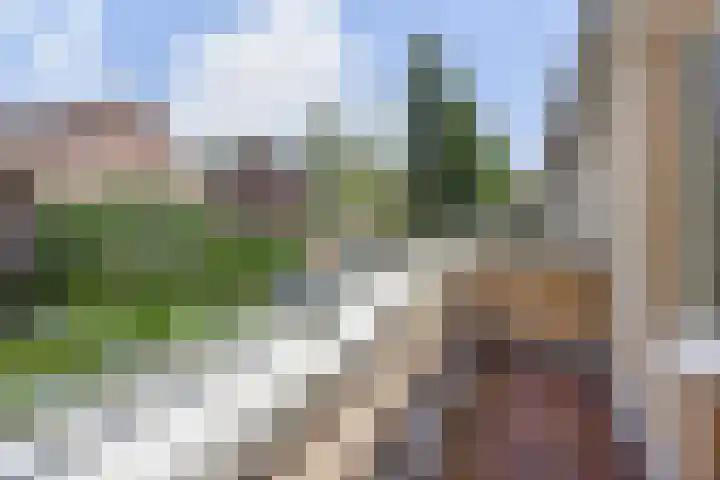 Dr. R.J. Fruinstraat 34 Den Haag thumbnail 36