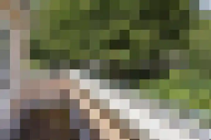 Dr. R.J. Fruinstraat 34 Den Haag thumbnail 38