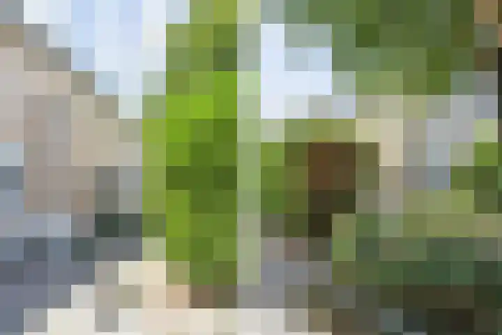 Dr. R.J. Fruinstraat 34 Den Haag thumbnail 39