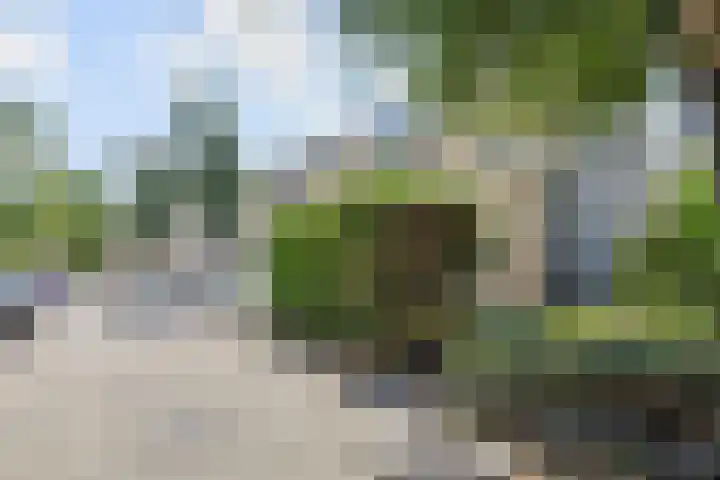 Dr. R.J. Fruinstraat 34 Den Haag thumbnail 40