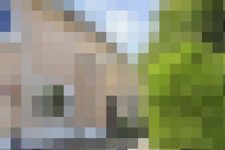 Dr. R.J. Fruinstraat 34 Den Haag thumbnail 6