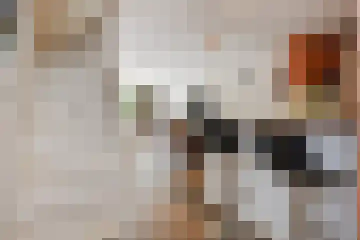 Dr. R.J. Fruinstraat 34 Den Haag thumbnail 9