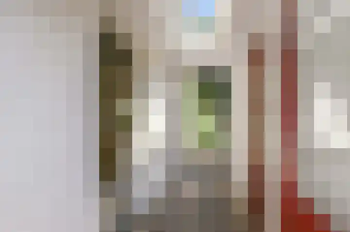 Dr. R.J. Fruinstraat 36 Den Haag thumbnail 10