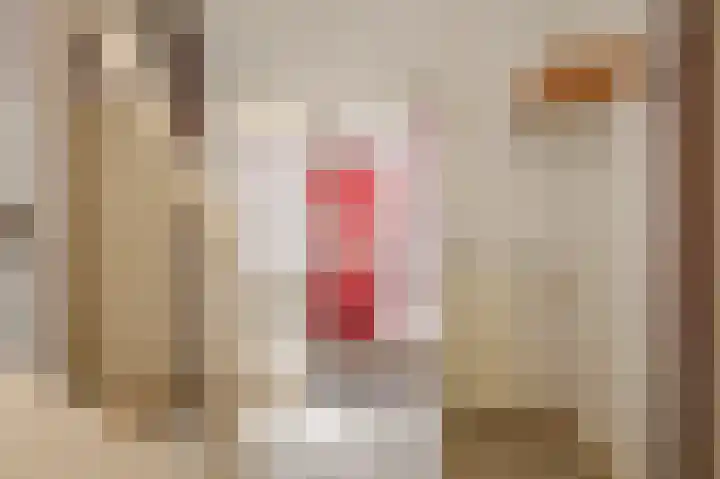 Dr. R.J. Fruinstraat 36 Den Haag thumbnail 13