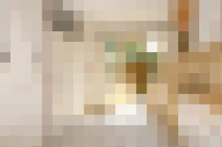 Dr. R.J. Fruinstraat 36 Den Haag thumbnail 15
