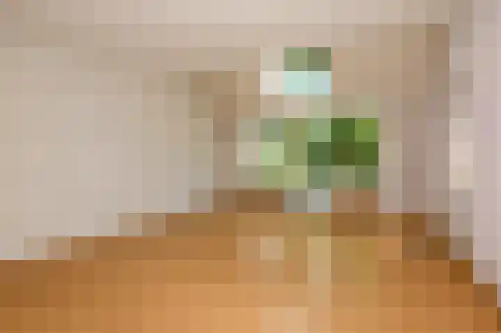 Dr. R.J. Fruinstraat 36 Den Haag thumbnail 17