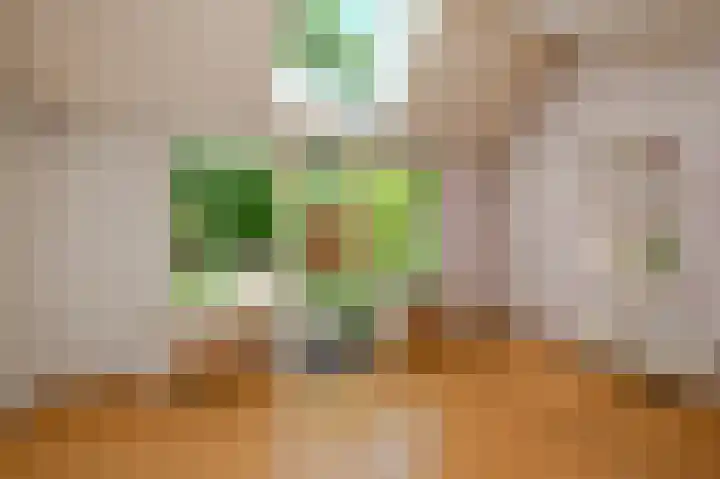 Dr. R.J. Fruinstraat 36 Den Haag thumbnail 18