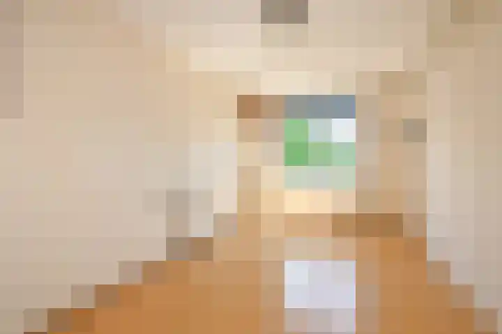 Dr. R.J. Fruinstraat 36 Den Haag thumbnail 33