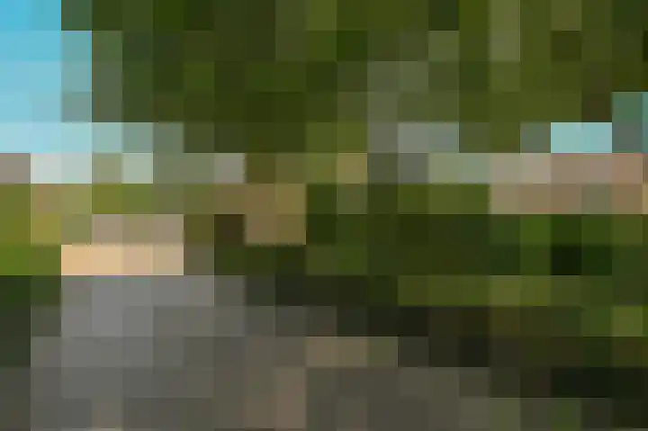 Dr. R.J. Fruinstraat 36 Den Haag thumbnail 6